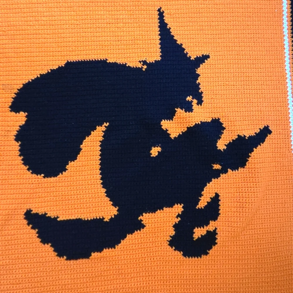 Hand Knitted Haloween Witches Throw!